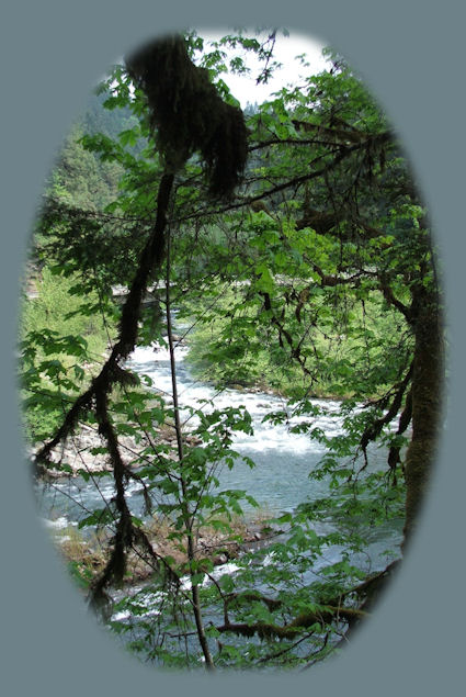 the little river's placid flow. enjoy camping in the umpqua national forest and hiking trails to waterfalls in the wild and scenic umpqua river watershedt: brice creek waterfalls, moon waterfalls, pinard waterfalls, spirit falls; hiking trails off the Rogue Umpqua Scenic byway on the wild and scenic umpqua river in the umpqua national forest: toketee waterfalls, watson falls hiking trails, fall creek falls, susan creek day use area, susan creek hiking trails, susan creek campgrounds off the rogue umpqua scenic byway, toketee campgrounds off the rogue umpqua scenic byway, lemolo campgrounds off the rogue umpqua scenic byway, diamond lake campgrounds, boulder creek campgrounds, canyon creek campgrounds, umpqua national forest campgrounds, clearwater falls campgroud, island campgrounds, lake in the woods campgrounds, bogus creek campgrounds, devil's campground on cow creek, cedar creek campground on brice creek, rujada campground on layng creek, apple creek campgrounds, whitehorse falls campground, susan creek waterfalls, north umpqua river, south umpqua river, umpqua river hiking trails accessed off the rogue umpqua scenic byway, forest service campgrounds, blm campgrounds, travel oregon through the cascade mountains, cavitt creek recreation area, deadline falls, steelhead in the umpqua river, angling, hiking trails to lemolo waterfalls, clearwater waterfalls, whitehorse waterfalls, clearwater river, toketee lake, umpqua hot springs, steamboat creek waterfalls, warm springs waterfalls, lemolo lake; hiking trails on the little river in the umpqua river watershed in the umpqua national forest: wolf creek waterfalls, grotto falls, hemlock waterfalls, hemlock lake, cavitt creek waterfalls, recreation area, shadow waterfalls, yakso waterfalls; hiking trails on the south umpqua river watershed: south umpqua waterfalls, campbell waterfalls, hiking trails in theboulder creek wilderness area, hiking trails in the mt thielsen rogue umpqua divide wilderness area, cathedral waterfalls off the south umpqua river; hiking trails in the row river watershed: moon, spirit and pinard waterfalls.